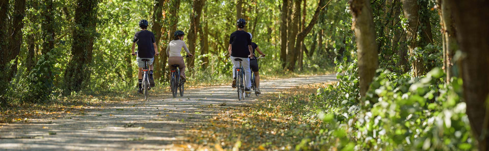 Louer un vélo électrique à Guipry-Messac